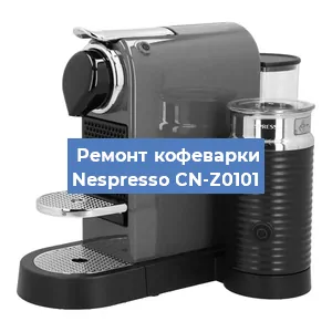 Замена прокладок на кофемашине Nespresso CN-Z0101 в Красноярске